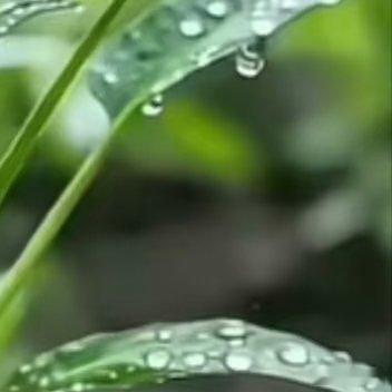 以后要学会磨练自己的心性，别害怕经历事，如果一点承受能力没有，被人说两句就吃不好