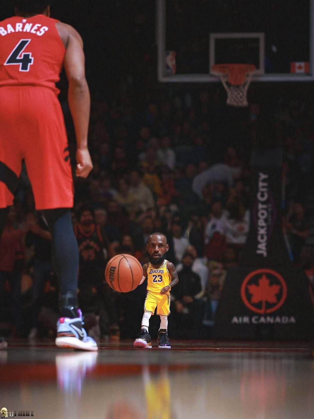 👑 L E B R O N  J A M E S 👑 詹姆斯洛杉矶湖人