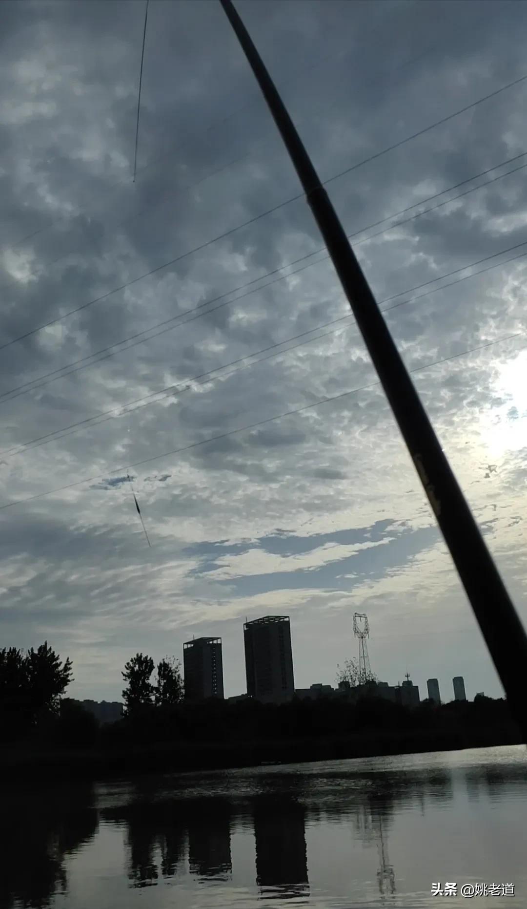 不知道为啥，我的老年人粉丝挺多，哈哈，他们现在还经常问，到底是蚯蚓红虫好用，还是