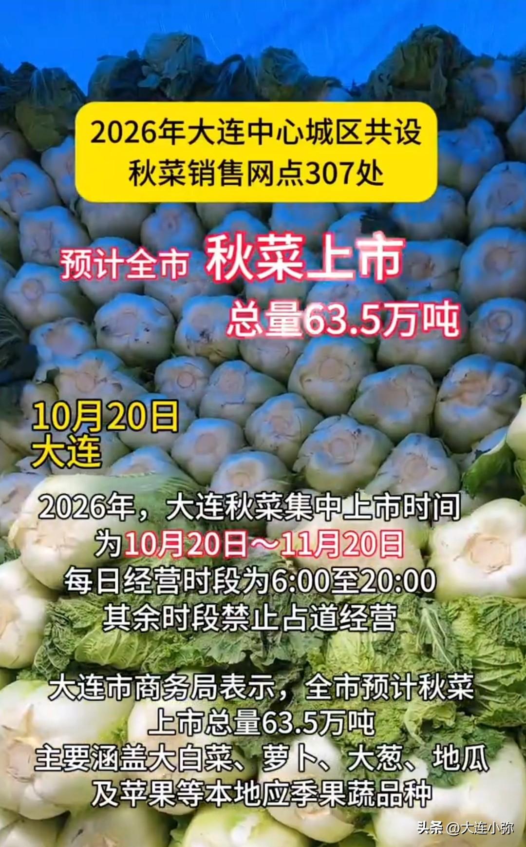 大连2026秋菜正式开售！307个网点，为期一个月
10月20日，大连本年度秋菜