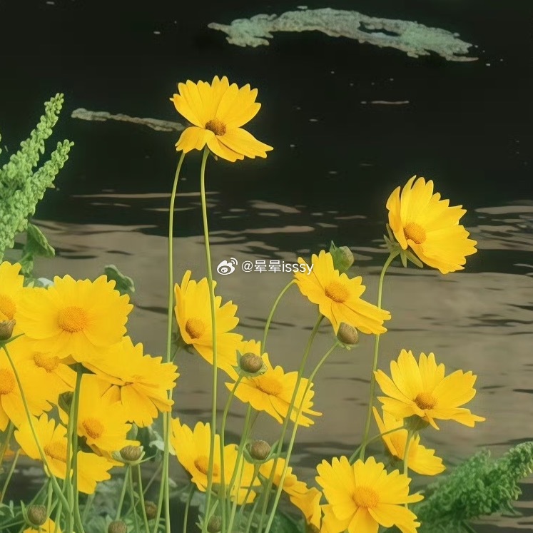 ‎每日一善🍃☀️阳光信用以德化人，厚德而行，福自至矣。以书育人，以书引善，以书