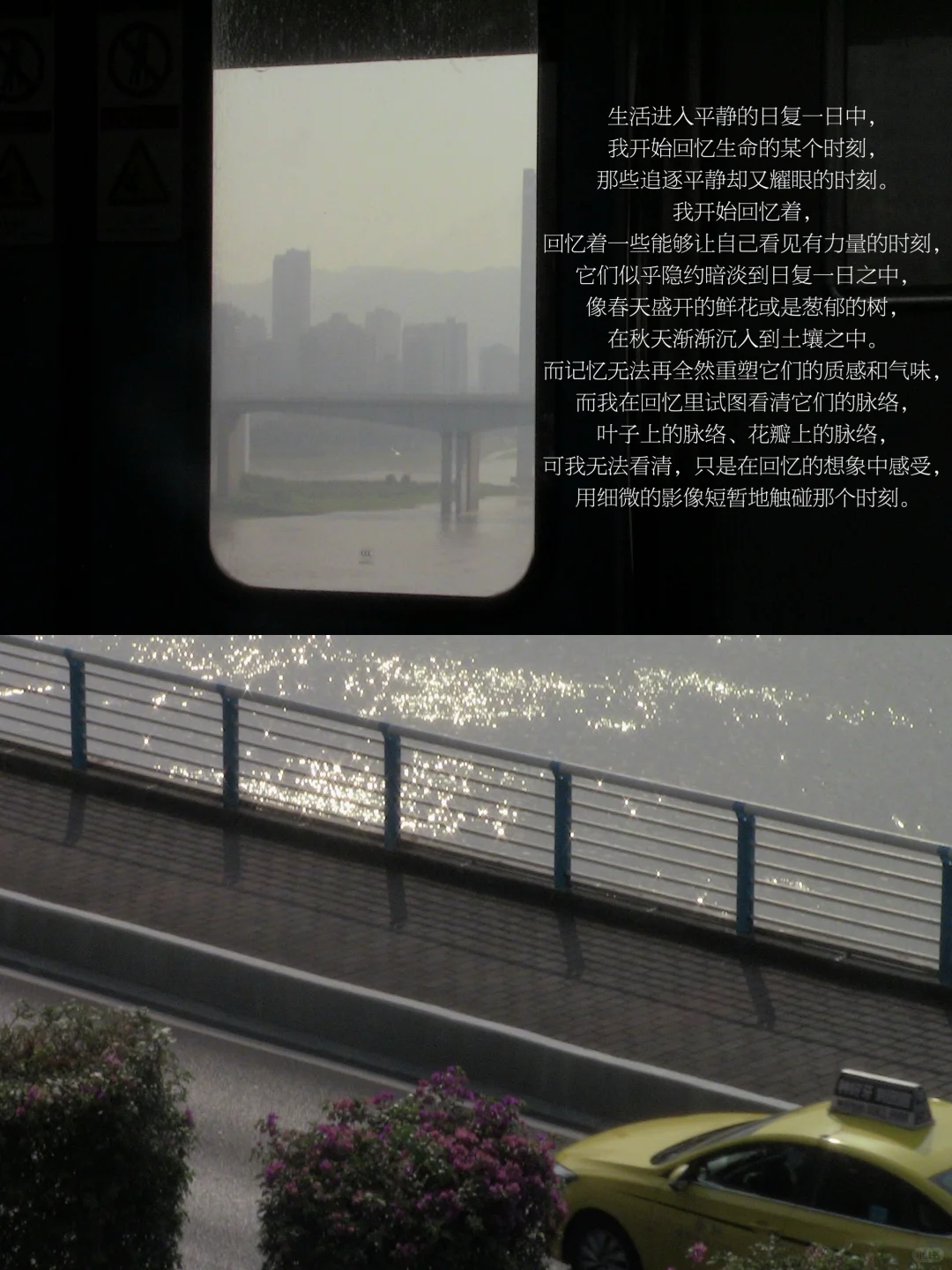 看见一些人与事物，回到平静又闪耀的时间去。