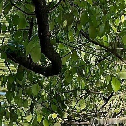 我们做过的好事，会像水滴一样汇入大海，最终滋养的是我们自己。 