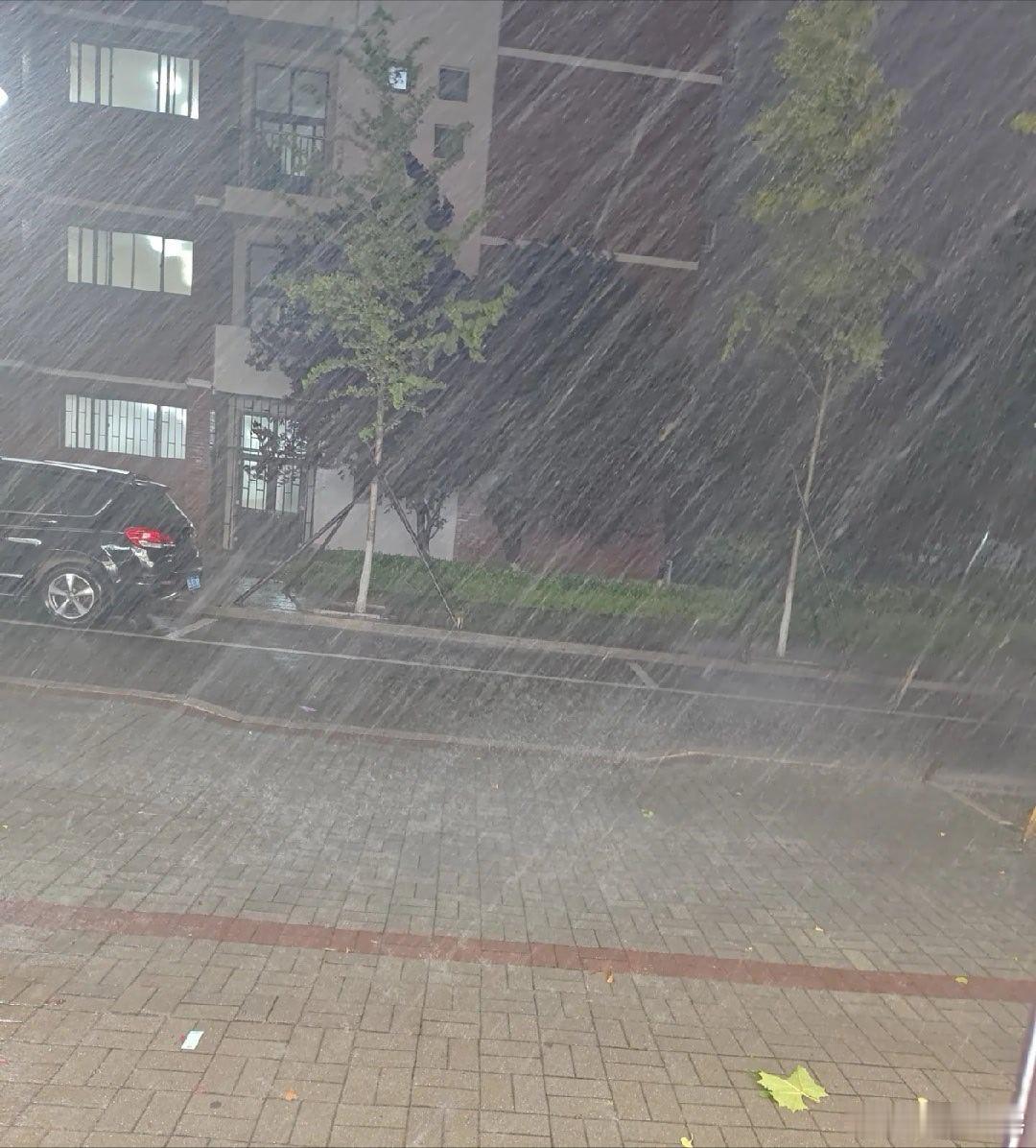 青岛我并不知道你是怎么了 