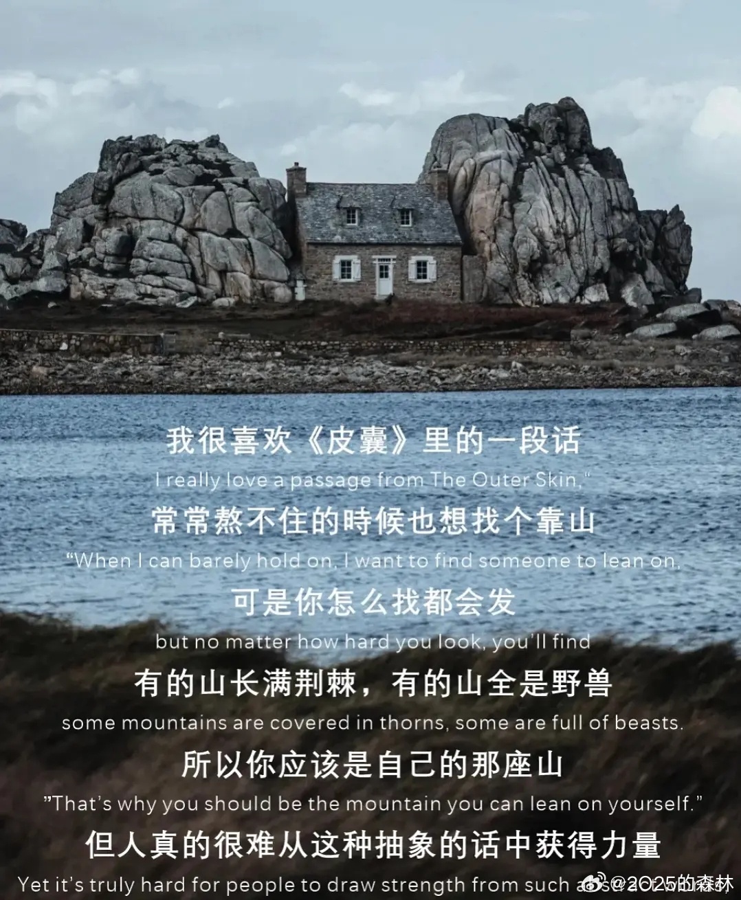 读书26-4 强风吹拂，三浦紫苑 著，林佩瑾 译你当像鸟飞往你的山 