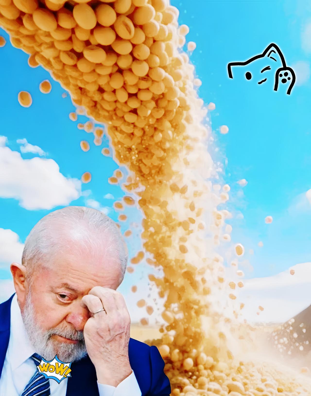 这下好了！

巴西傻眼了

 谁能想到，曾经手握中国大豆订单的巴西农场主，如今急