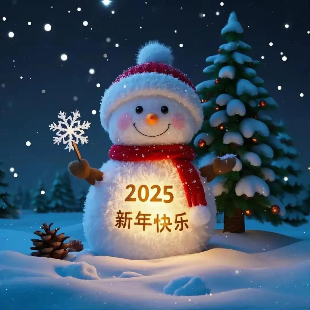 2025 年已至，新的征程已然开启！
在新的一年里，我们都应带着责任与担当，以更