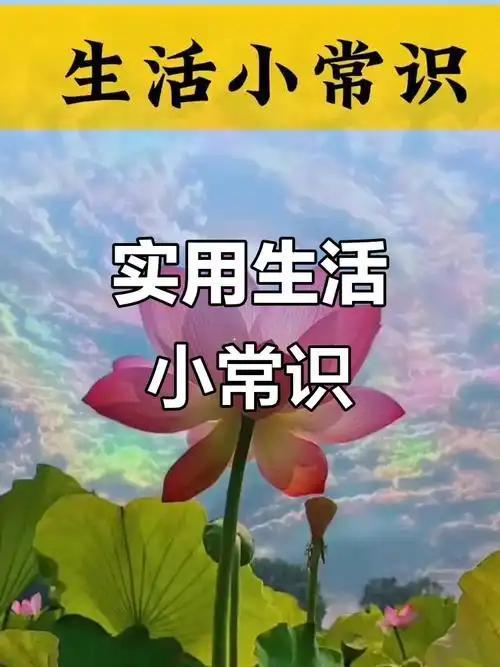 这些生活小窍门真的太实用了！以前总觉得做家务又累又麻烦，很多小问题要么花钱找人弄