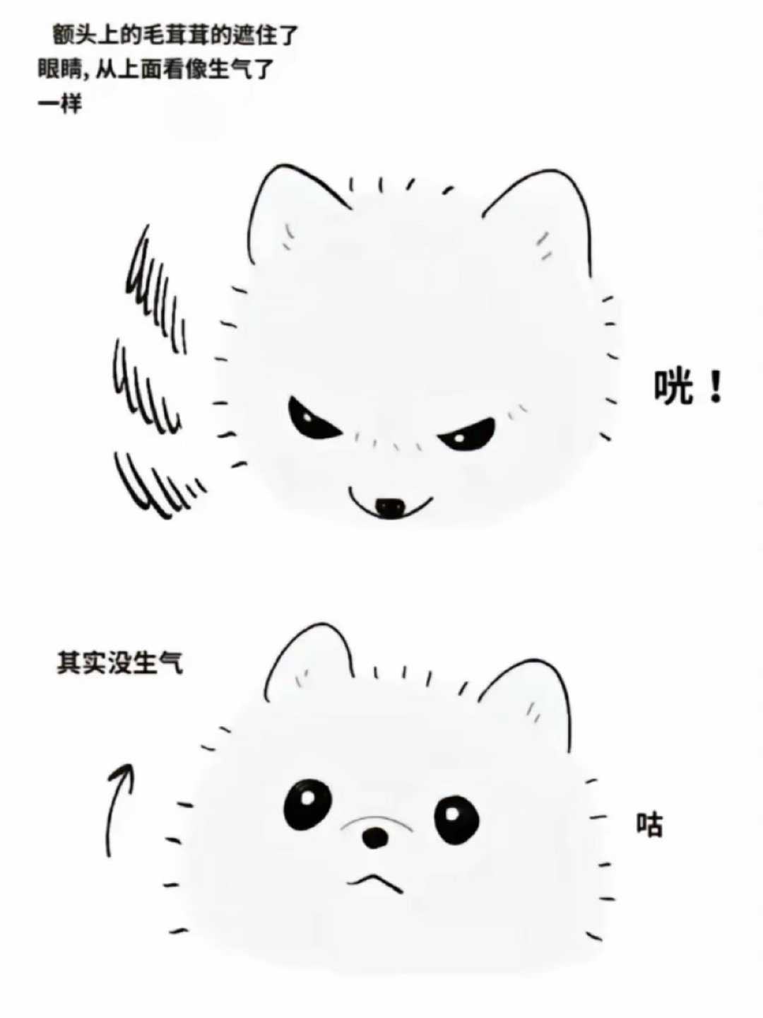 【92】其实没生气 ​​​