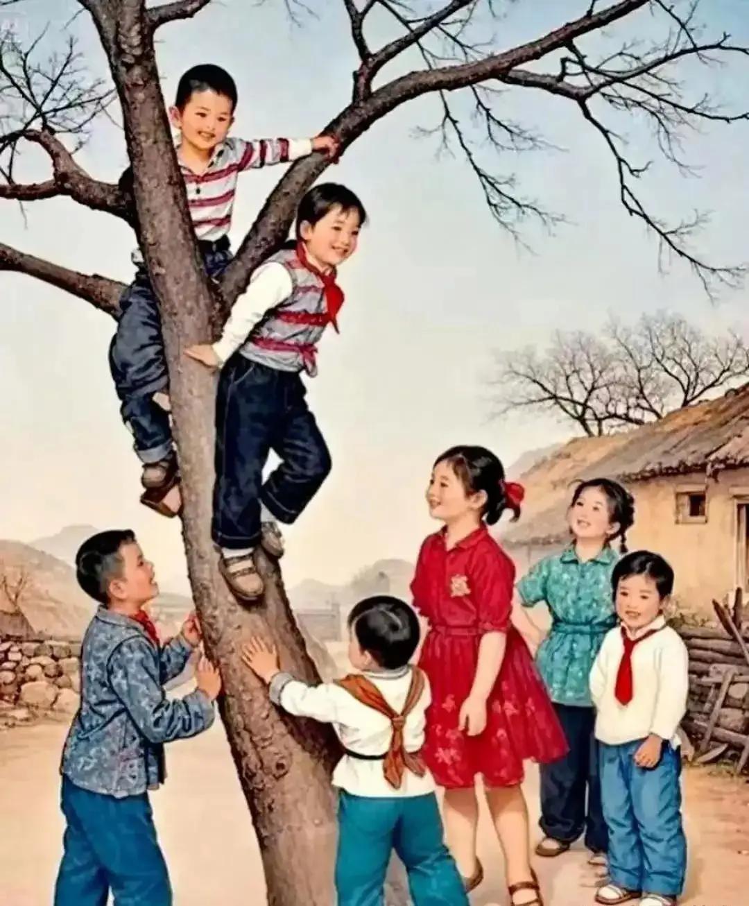 图中共几个同学