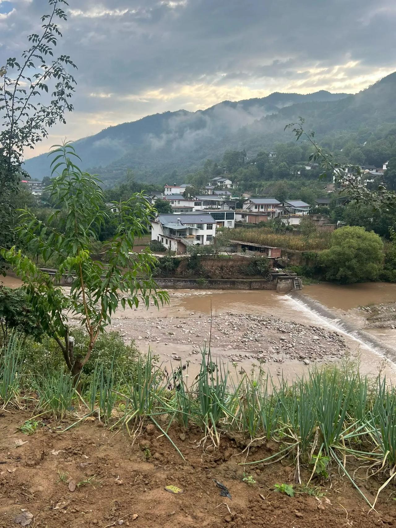 2026，9，13，“西域明心”骑游采风第73天，康县佛崖镇（昨天写成了望关镇）