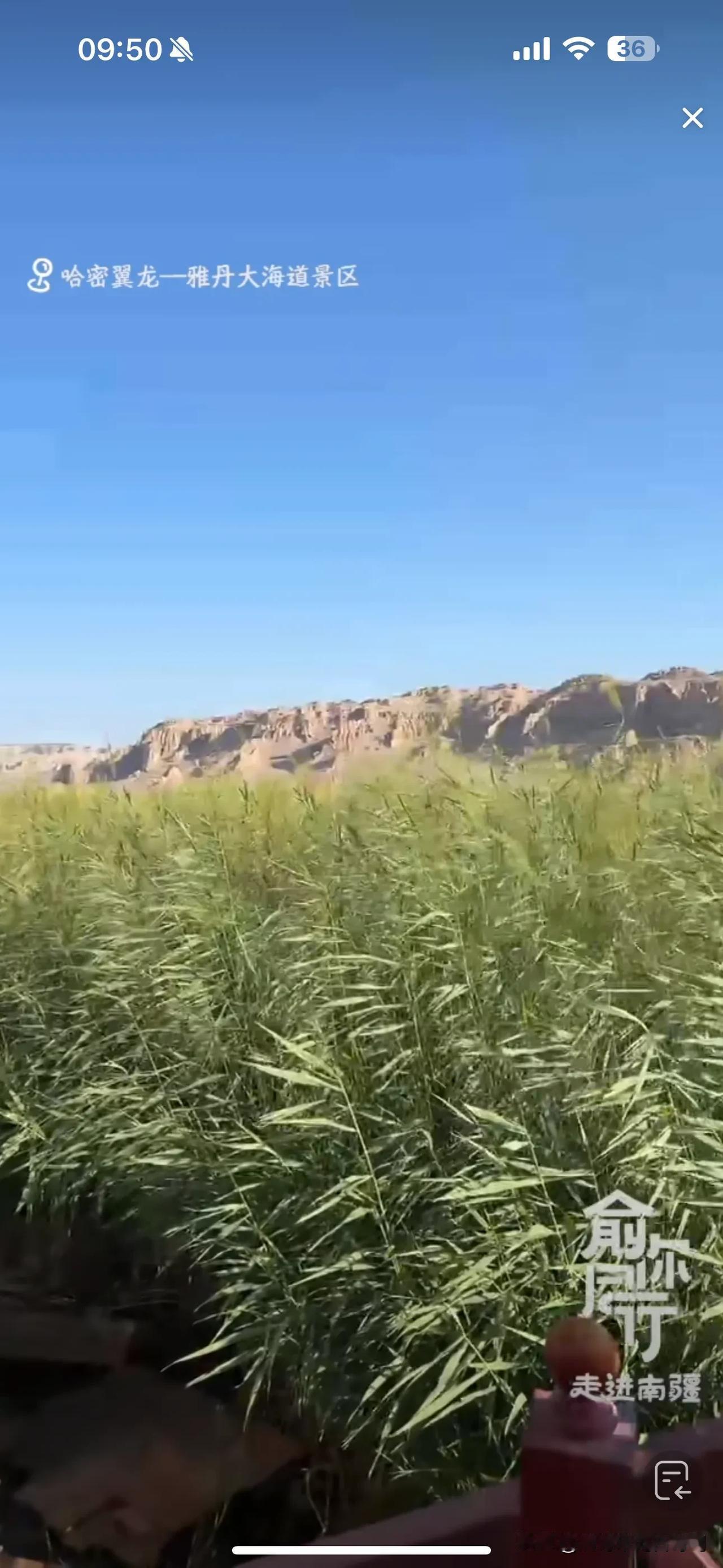 俞敏洪新疆行第二天直播：雅丹大海道景区，水源地，摩托车表演！

就在这样的戈壁荒