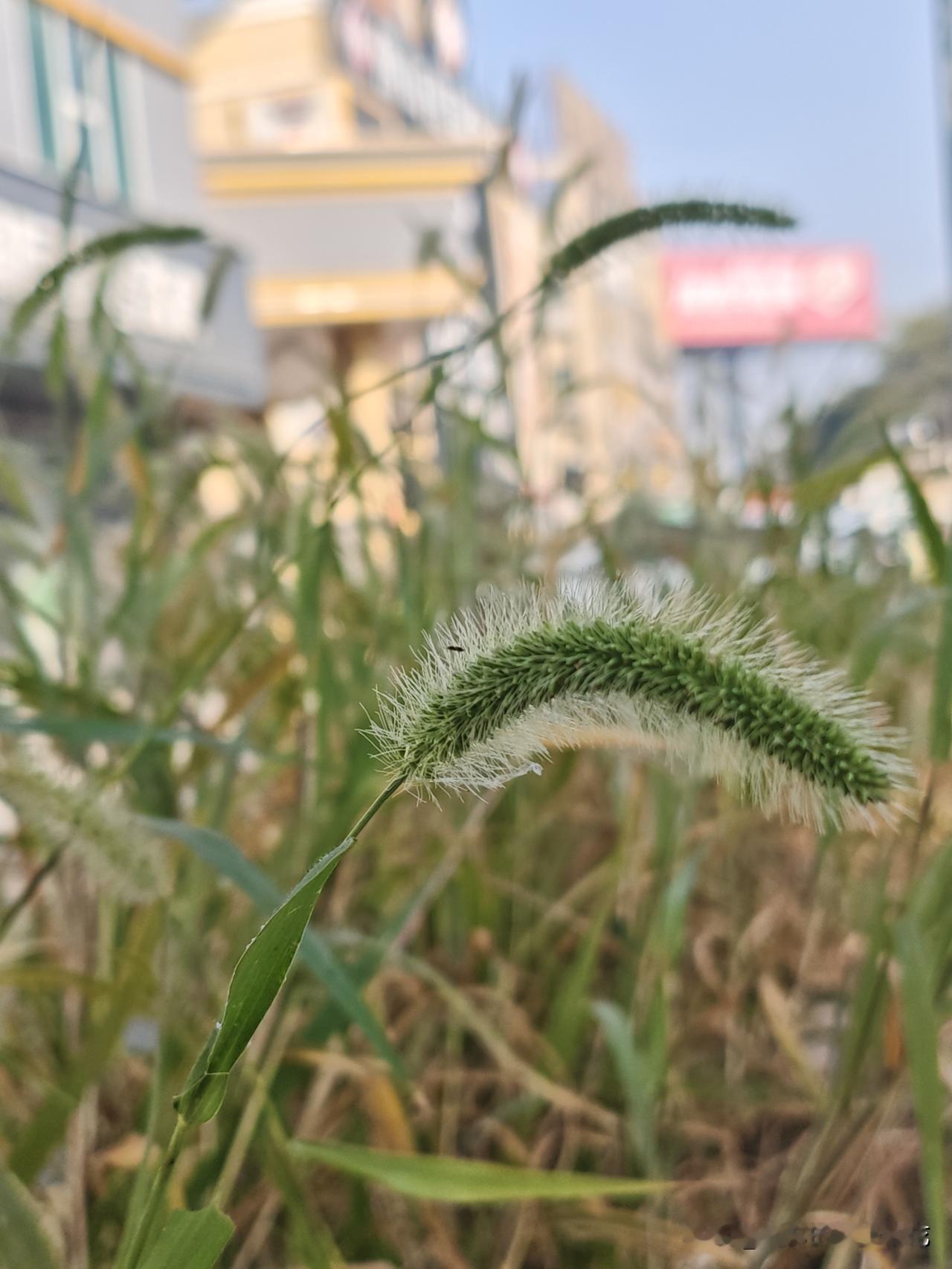 我发现，自从我对待什么事情都事不关己后，我的心态好很多了，不再像以前那样遇到一点