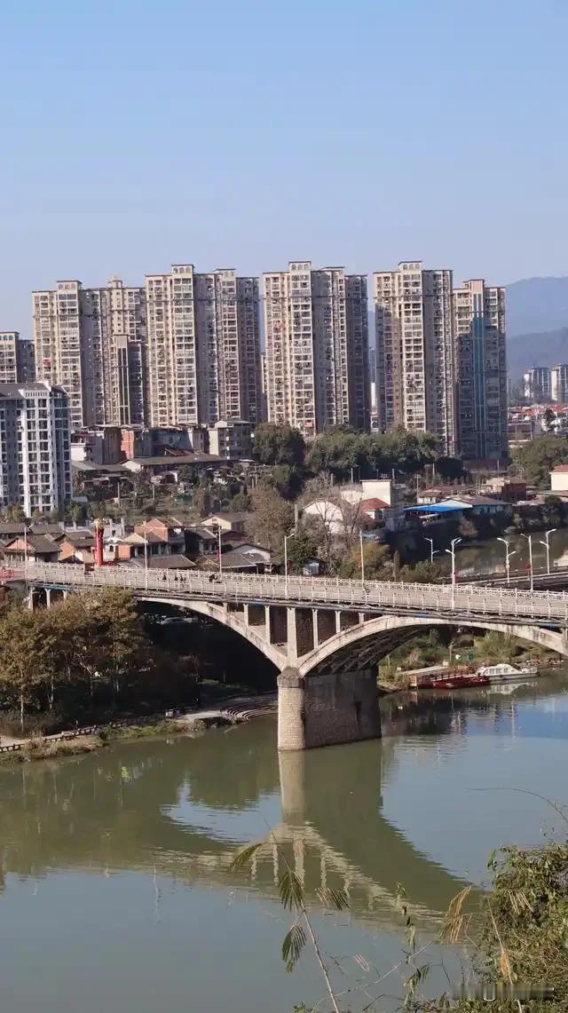 三明市伴侣动物保护，高情商的领导班子，本质上是在用“空间隔离”换取“生存权利”。