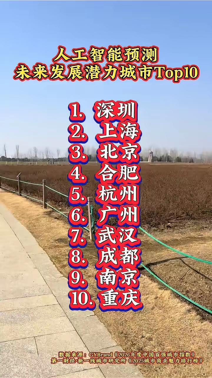人工智能 城市 玩人工智能，徐州根本排不进前十。连无锡也不中。可合肥竟排名全国第