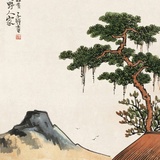 壮糖热逛历史