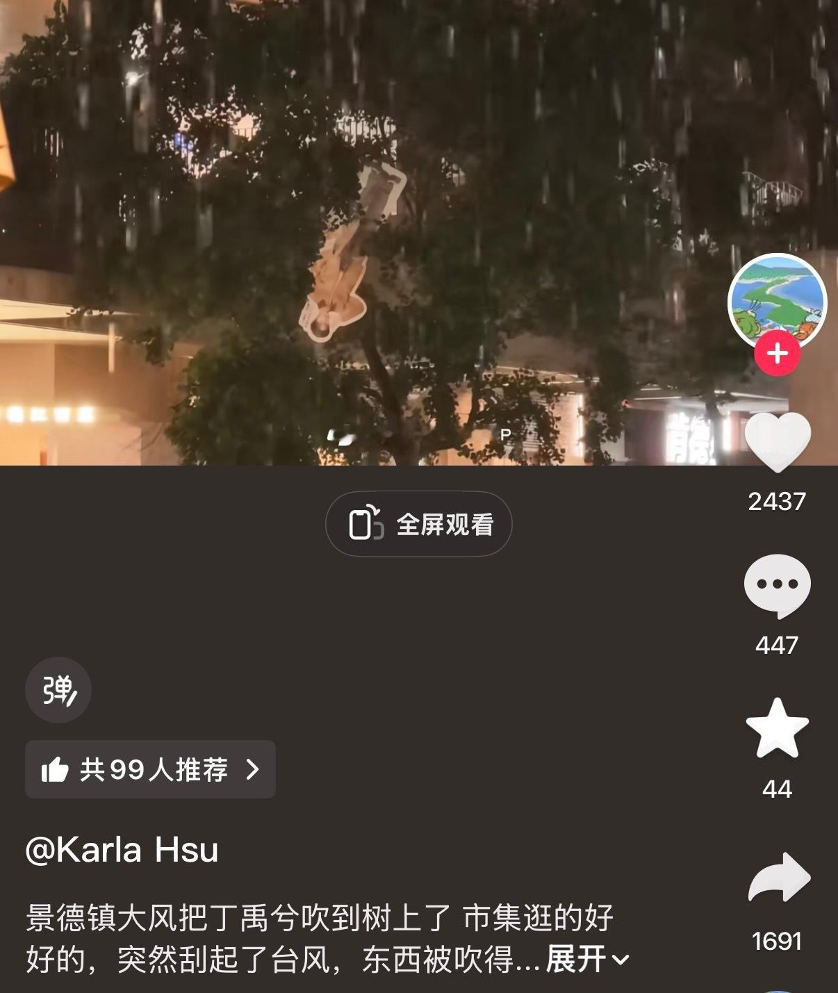 我们江西的风已经吹得老丁无痛爬树了 