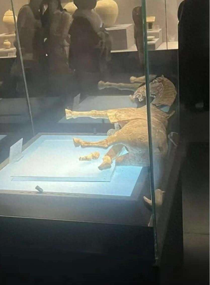 陶马倒了没人说，展柜空了换新货，信任碎了一地

1月1号晚上六点左右，洛阳博物馆