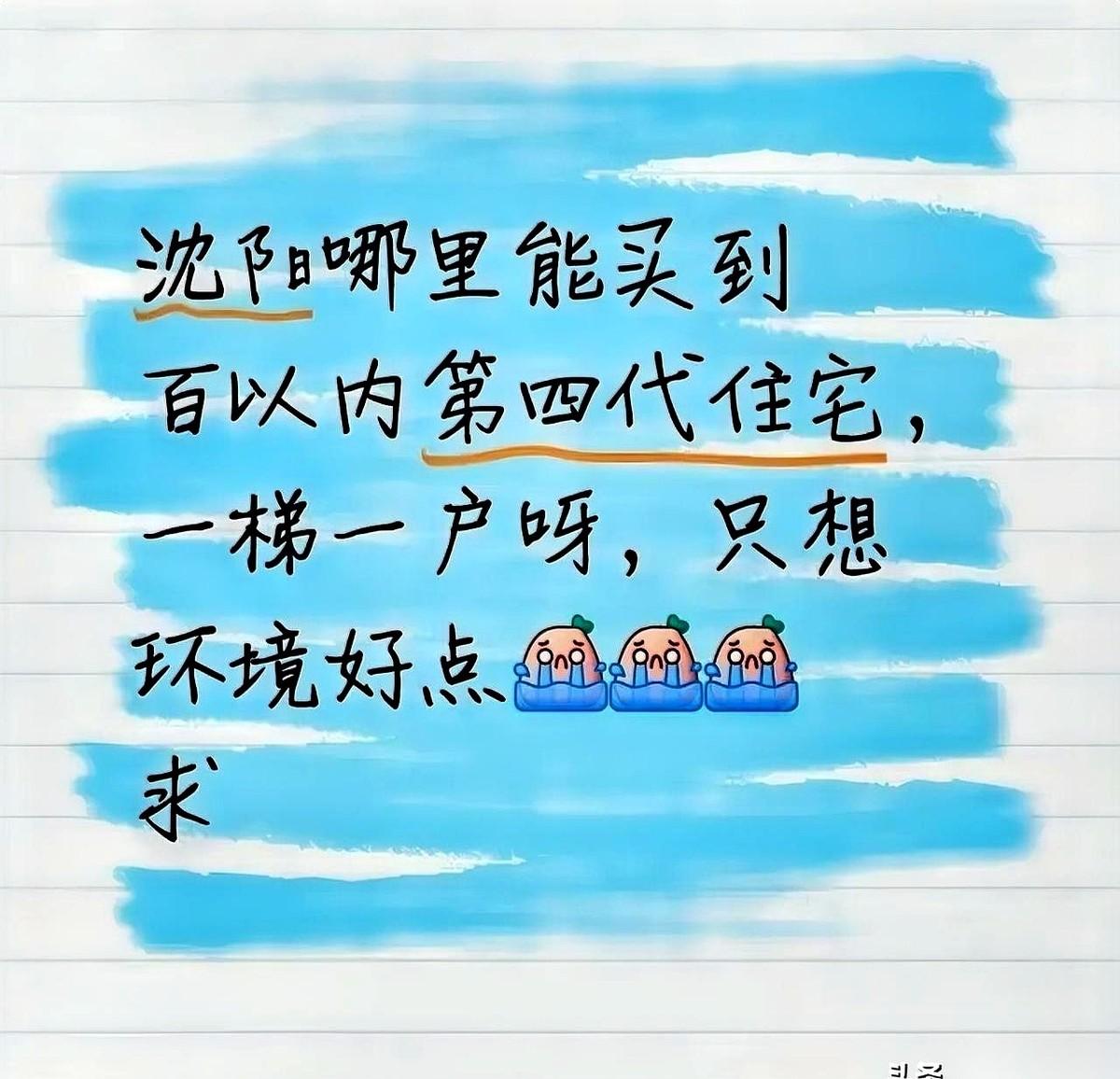 一百万以内，沈阳，一梯一户，第四代住宅。
这几个词儿摆一块儿，我第一反应是：这哥