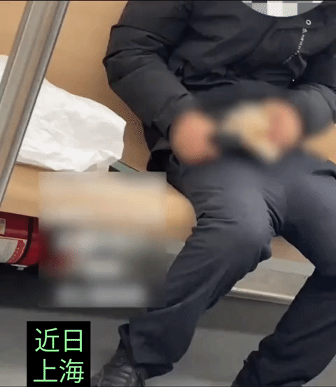 近日上海地铁站，一男子为了逃避安检，把小狗放进裤兜里，害怕狗狗闷死，就把裤子打开