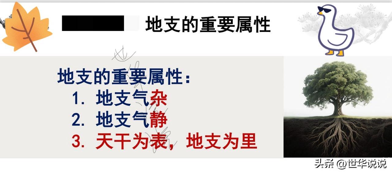 干货｜3个地支核心属性，秒懂“表里”命理逻辑

新手学命理，先抓地支3个关键属性
