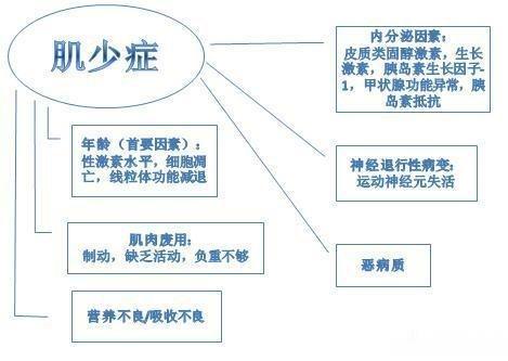 #微博健康公开课##健康美好生活计划# 🌈《细胞代谢》杂志：随着年龄增长，肌肉