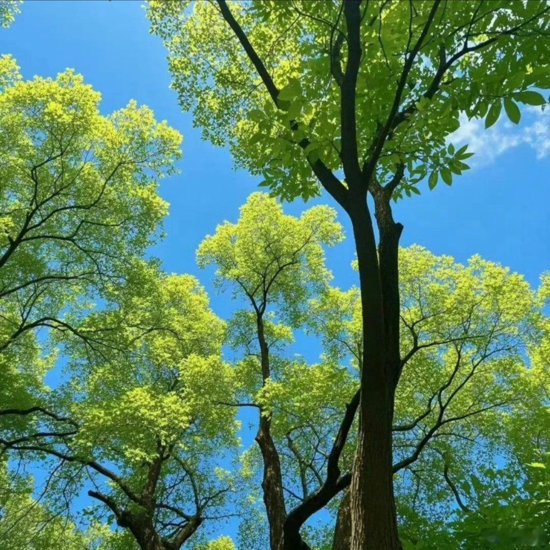 风景图片分享。 
