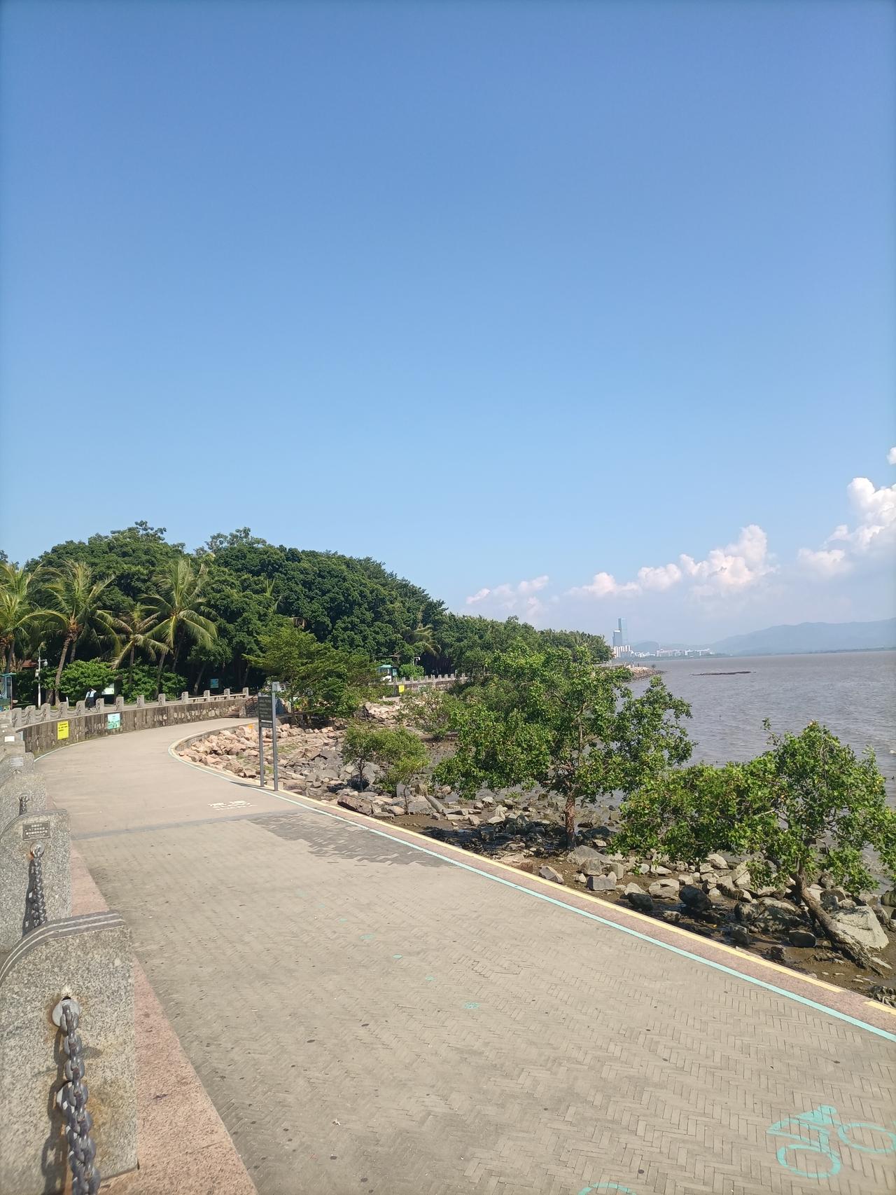 其实深圳湾公园一点都不好玩，没有什么看头，从9号地铁线出来，刚开始时候看见一片大