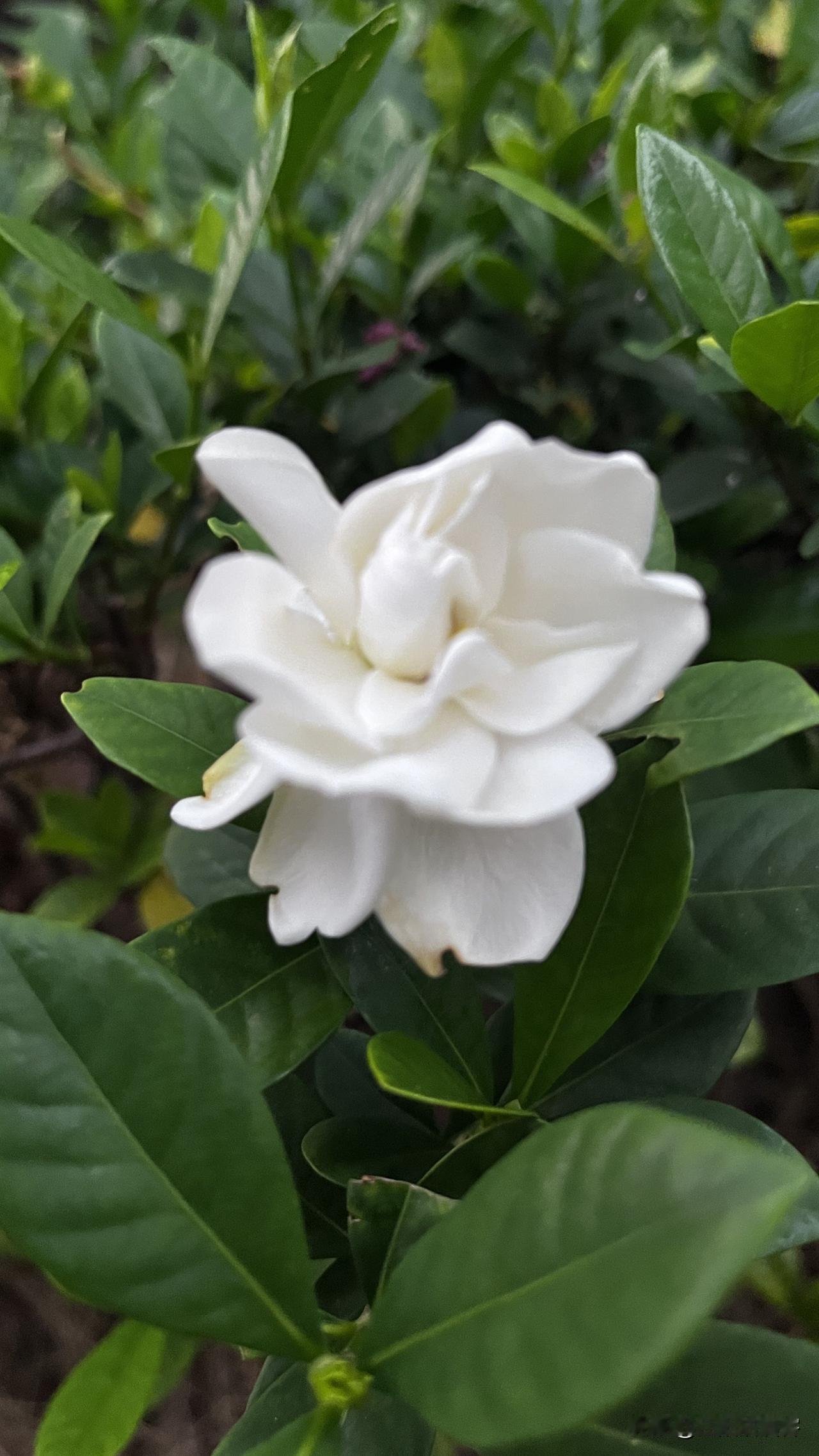 搭讪本身没有错，但分寸感很重要。人家明确表现出拒绝、不想交流，就该到此为止。把自