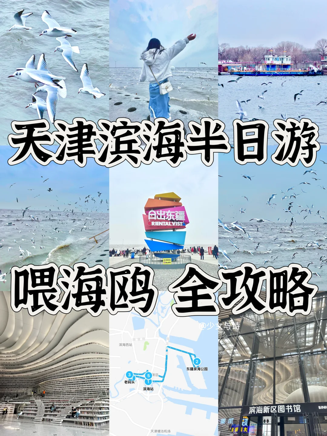 📍天津滨海丨邂逅海鸥超绝半日游攻略🐦 🩵