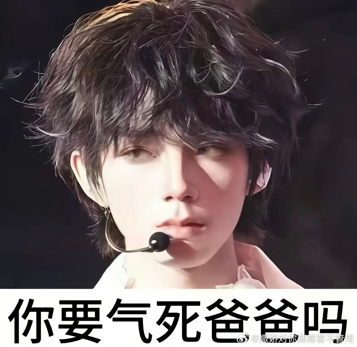 这期颜值有点高了 