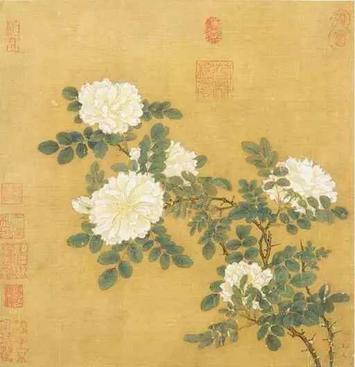 宋画里的花鸟，精致细腻，回味无穷。宋画非常重视技法，注重写实，在写实技巧上已臻中