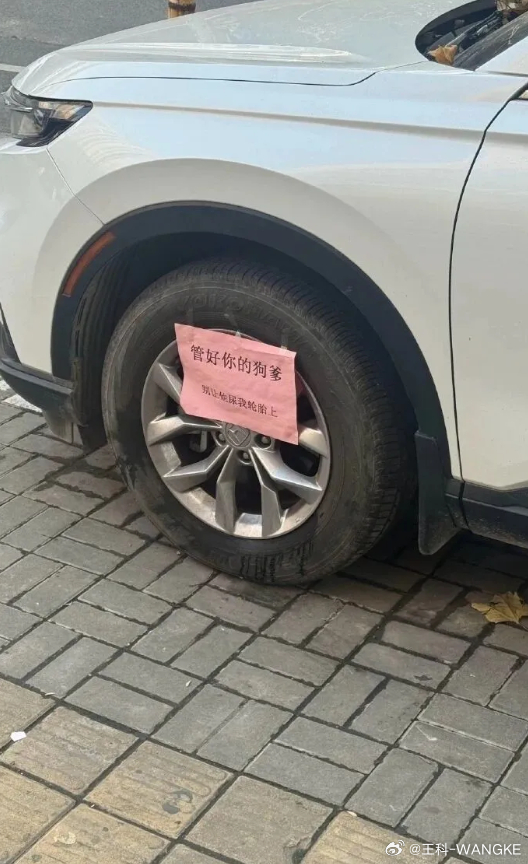 这是忍无可忍了吧！ ​​​​但我很担心，这种情况会引起更多的无良狗吧！ ​​​