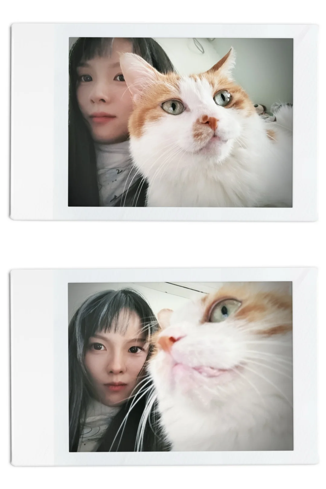 第一亿张合影 .