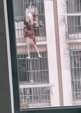 真爱情的力量
