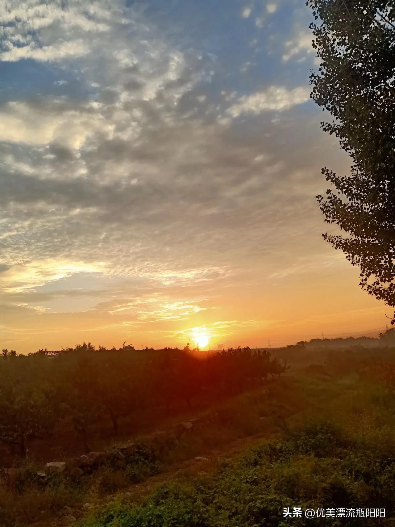 晒图笔记大赛落日余晖