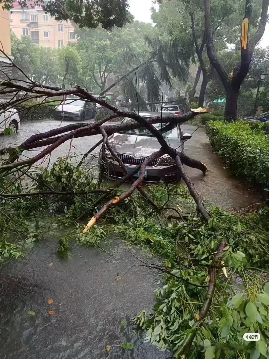 今年这台风，来得真早。才4月，就憋出个超强台风。大自然的脾气，越来越摸不透。 气