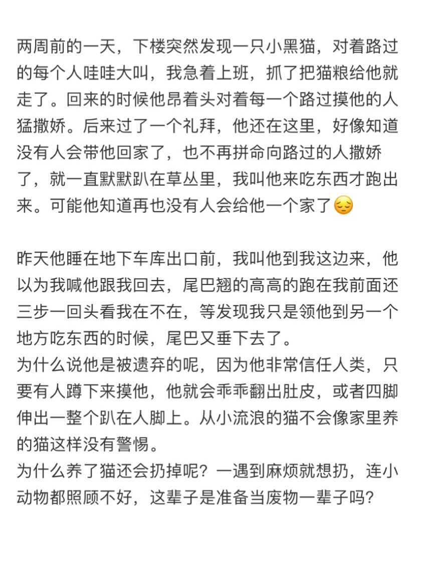 小猫需要多久才会明白自己被抛弃了呢… ​​​