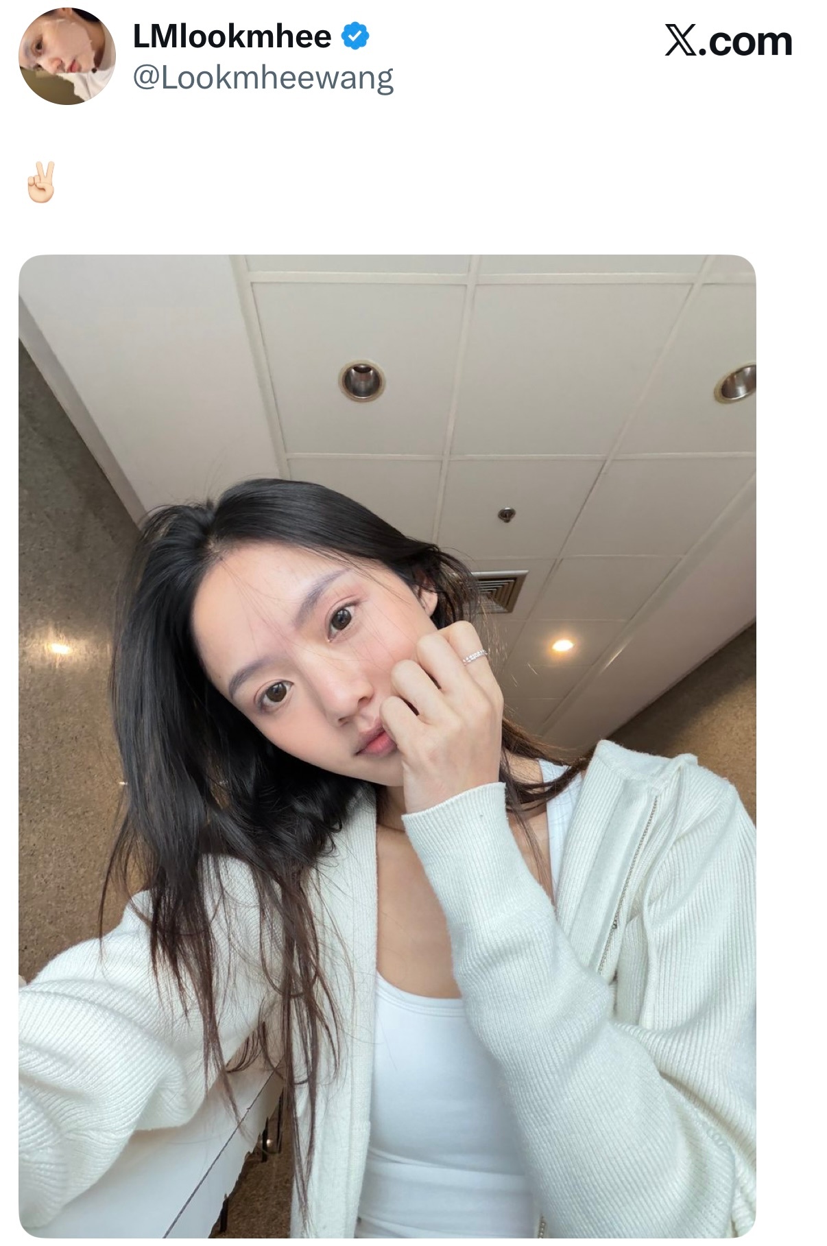 🐨：✌🏻 