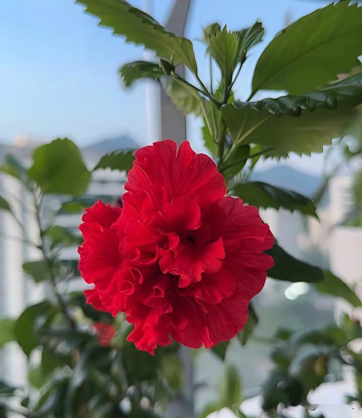 离婚两年多了，这两年孩子生病看病都是我掏钱。

按离婚协议本来医药费也是他支付的