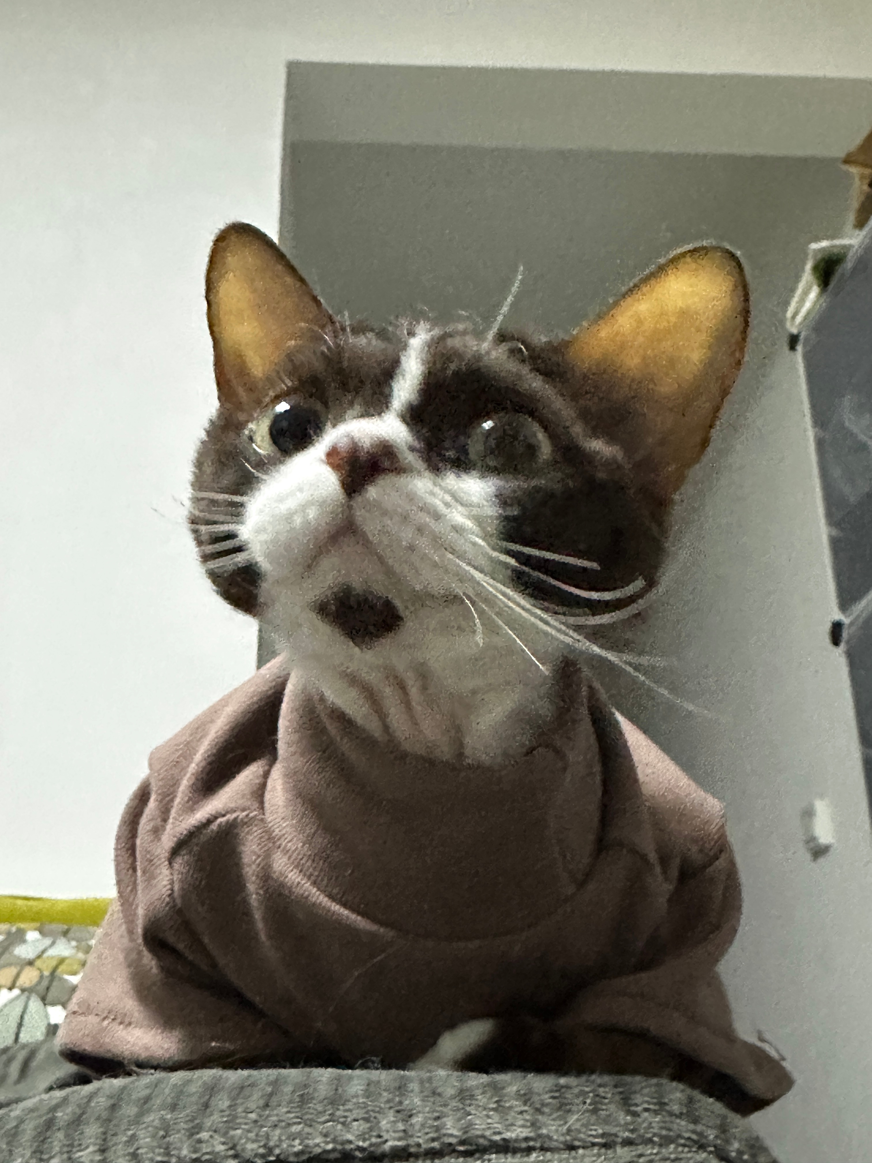 look in my eyedo you love 咪？ 