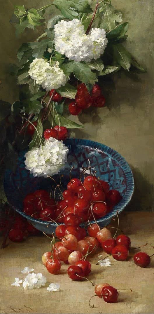 Still life with Cherries 1890Clara Von S