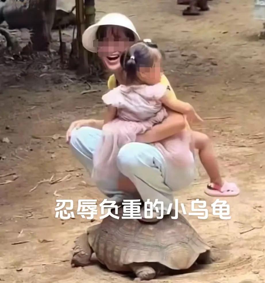 踩在龟背上的女人你已经火了，已经传到了河南郑州，不知还传到了哪里？

这位妈妈，