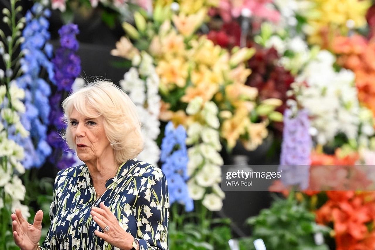查尔斯自找苦吃！据悉卡米拉王后非常不满，原因是因为她的孩子没权利获得王室头衔，这
