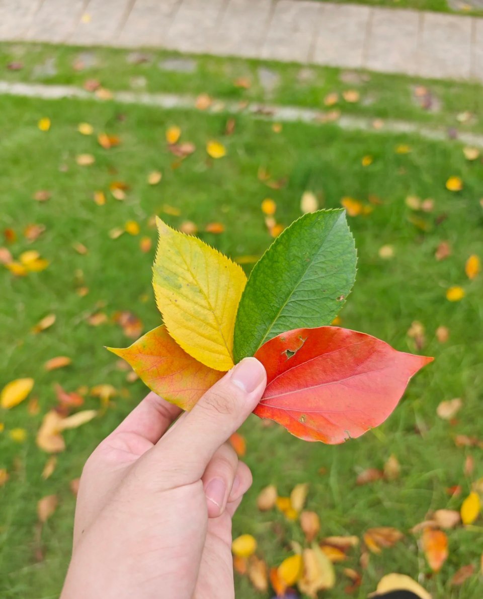 说好的休息一下，马上回来，可再也没有回来[~[泪]