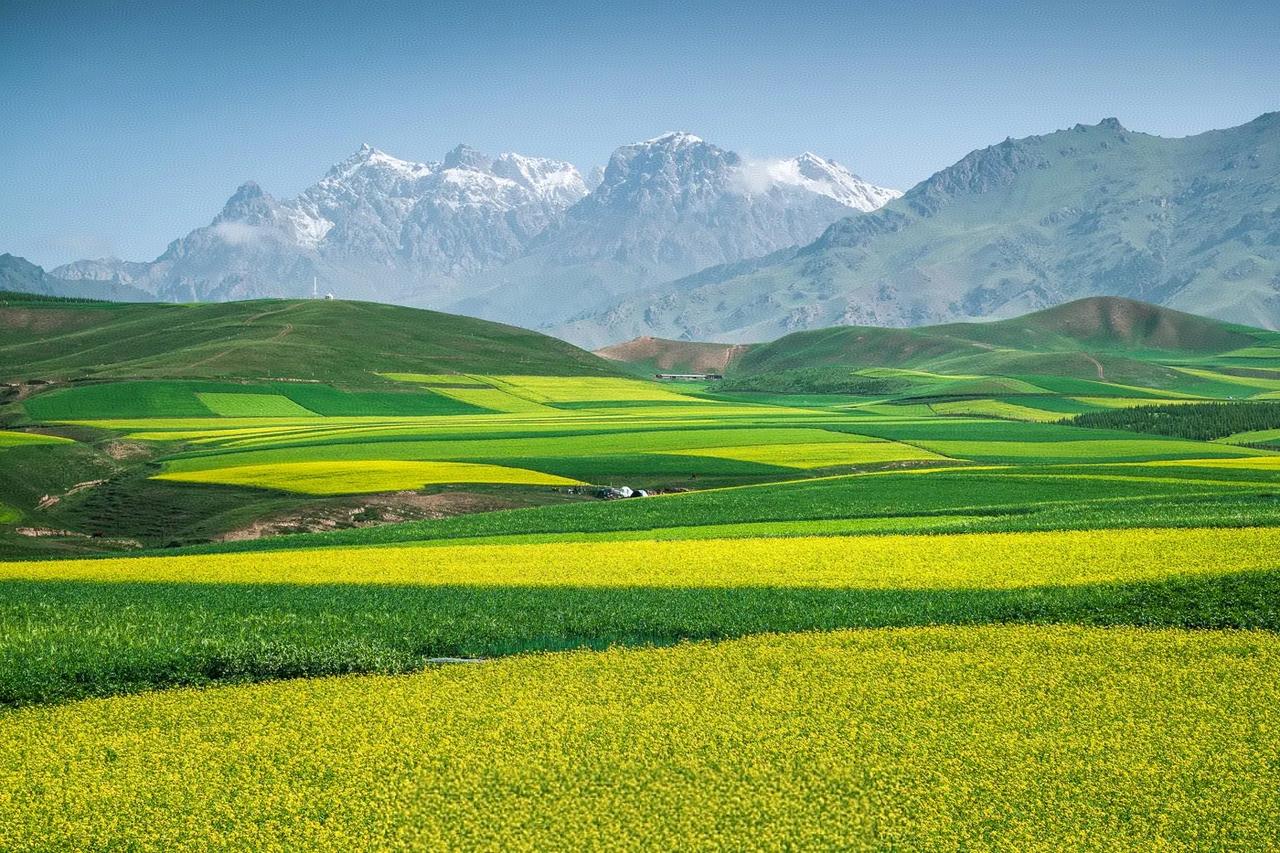 网络上面有很多的毒鸡汤，你可以看一看，但是一定要理性地去面对，不能够被洗脑！我看