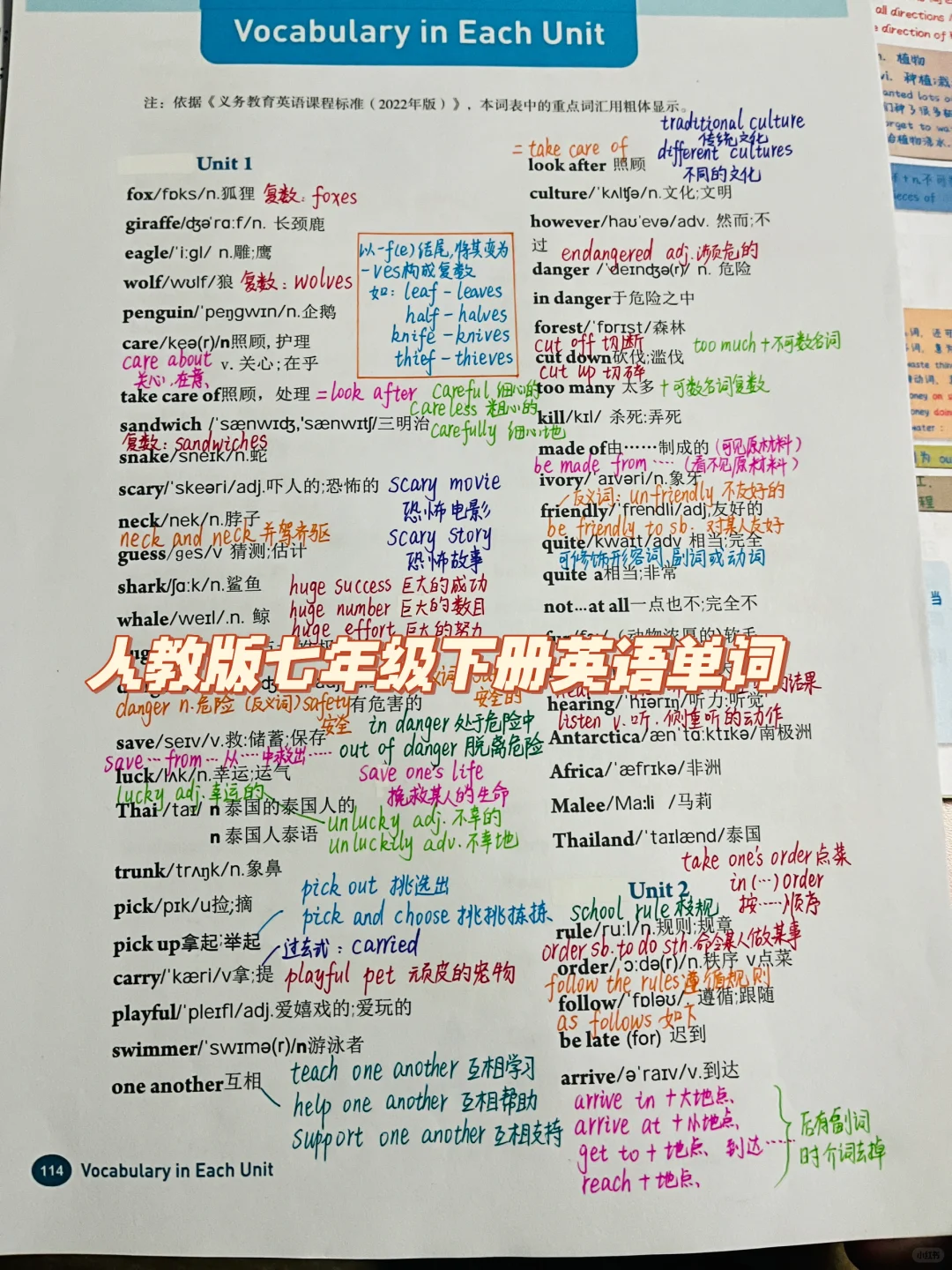 新人教版七年级英语下册单词
