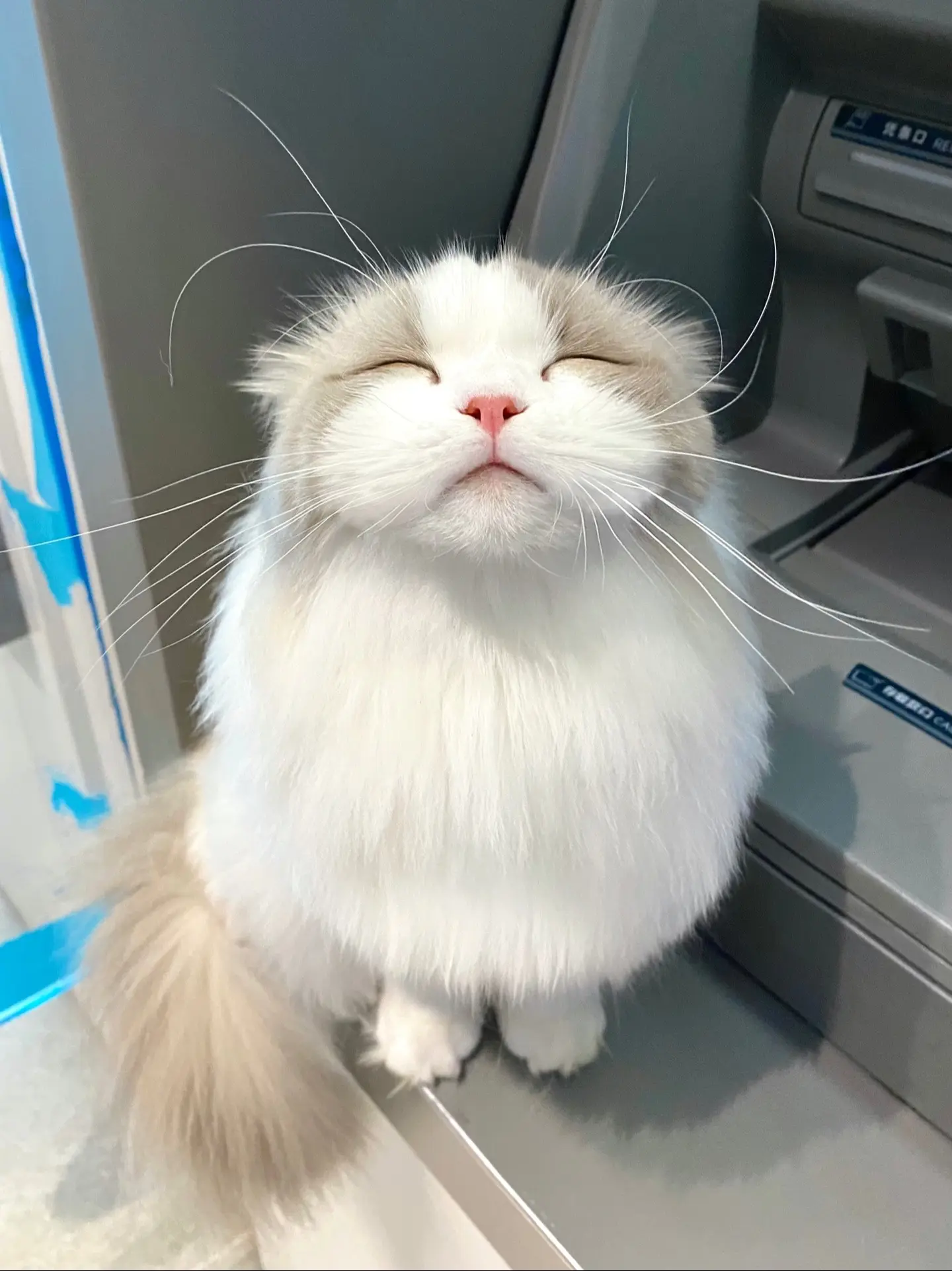 不给他买小零食非拉着我来。给他说了出门没带钱！ 他不信 兜着我走进这里...