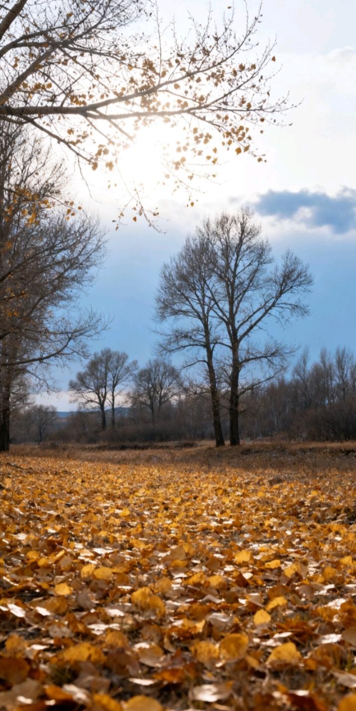 《今年北方多地为何秋天这么短？》
今年北方多地秋天较短，主要有以下原因：
 
-