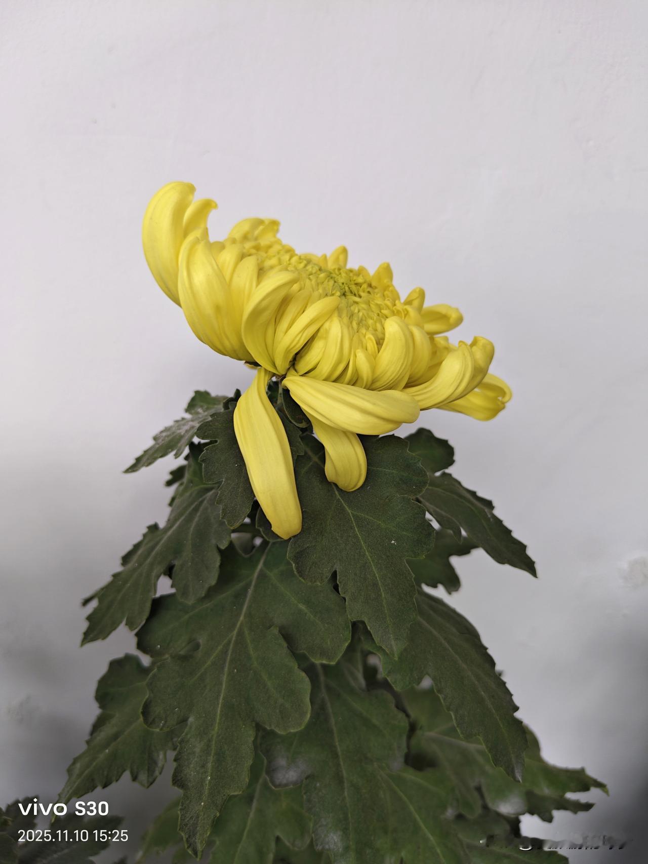 就是想把电动车学会，骑好！